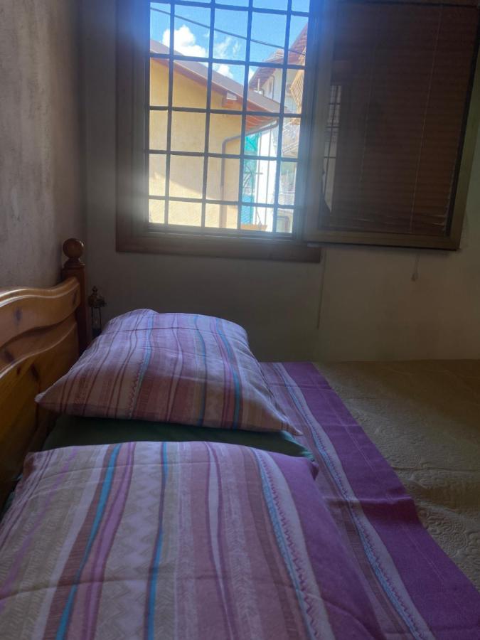 “Casa Rosi” Appartamento In Zona Medievale ピゾーニェ エクステリア 写真